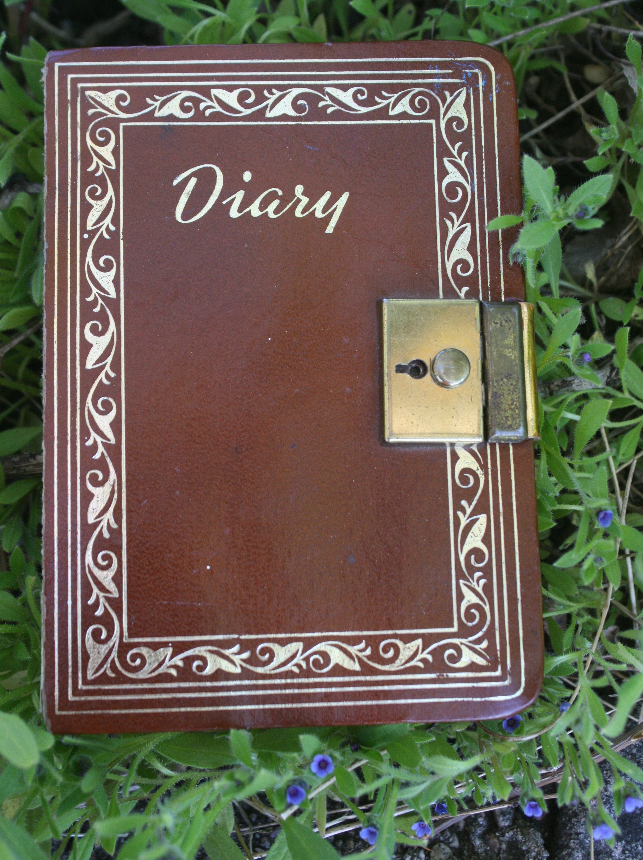 The Diary | Inheritance of Memories